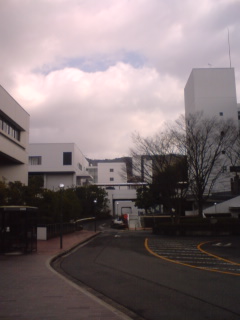 090110_1314~01.jpg