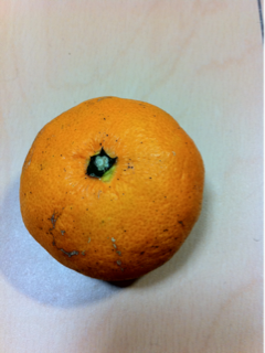 image-20101221205352.png